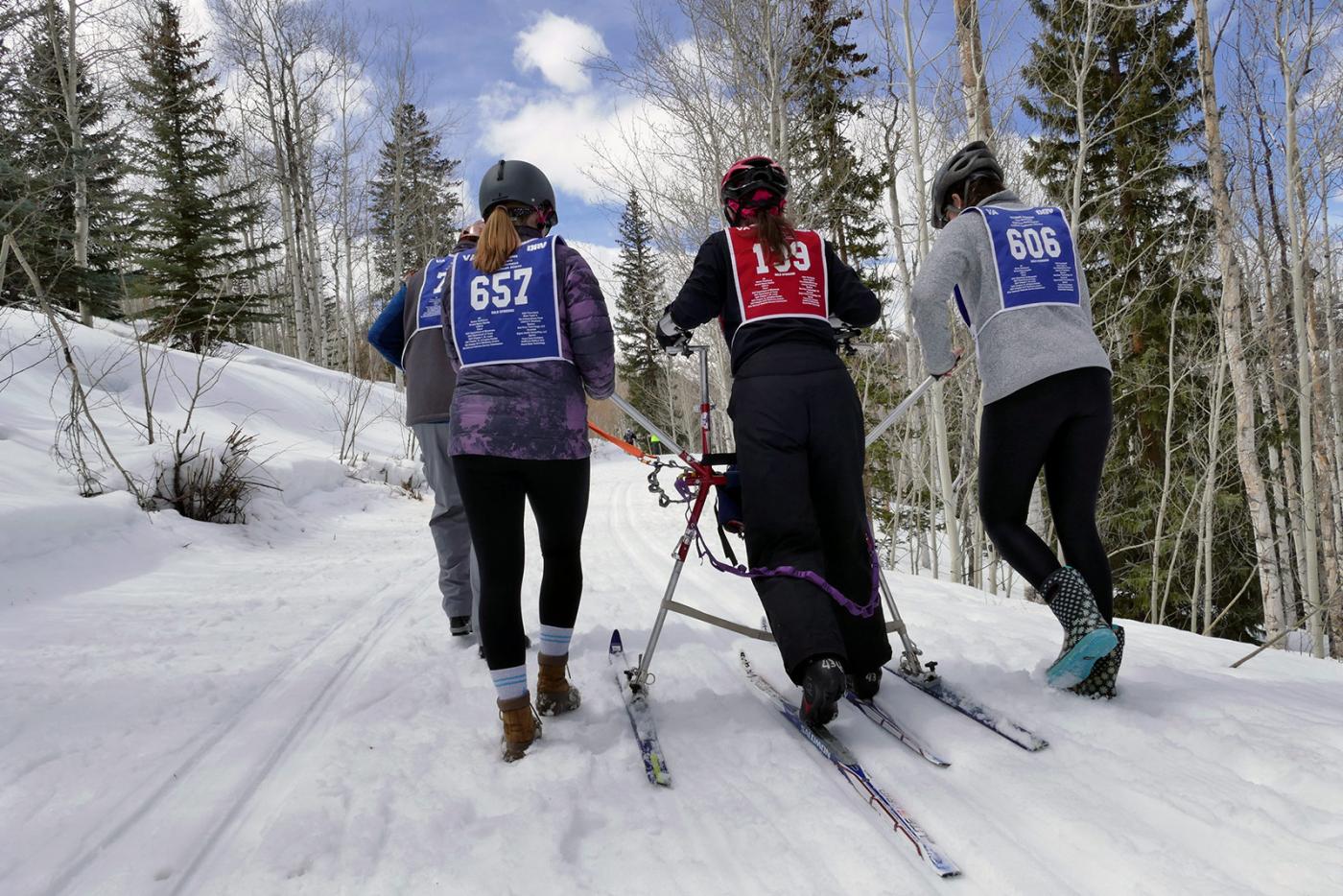 Adaptations to cross country skiing for a standing skier